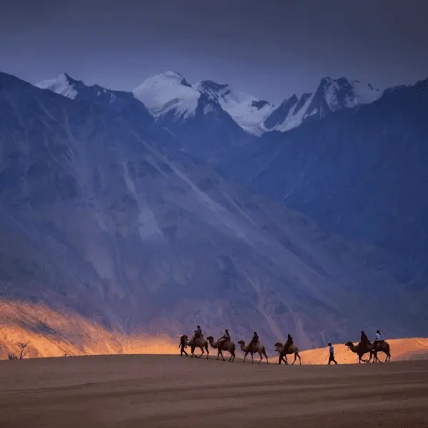 Hunder Sand Dunes - Ladakh packages